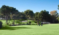 villamartin golf course